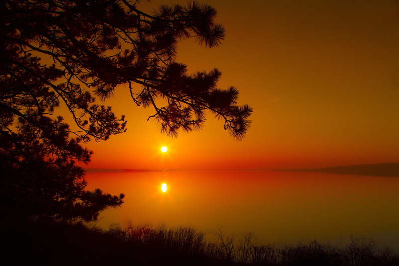 wood, sea, 5K, day s, scenics - nature, orange color, beauty in nature, sun, tree, adult, idyllic, silhouette, nature, outdoors, sunset, city, summer