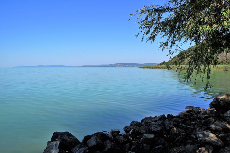 Coast, no people, tranquil scene, rock, scenics - nature, tranquility, tree, Water, bay, beauty in nature, non-urban scene, horizon over water, blue, clear sky