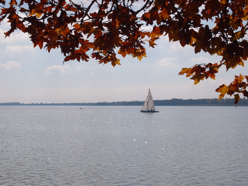 tree, nautical vessel, sky, horizon over water, Keszthely, autumn, nature, yacht, lake, horizon, mode of transportation, tranquility, transportation, outdoor