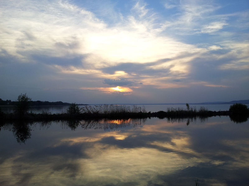 water, tree, cloud - sky, non-urban scene, lake balaton, lake, balaton, waterfront, remote, hungary, tranquility, reflection, beauty in nature, outdoors