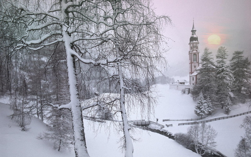 1080P, light, storm, snow, trees, 3d and abstract, winter, seasons, first, nature