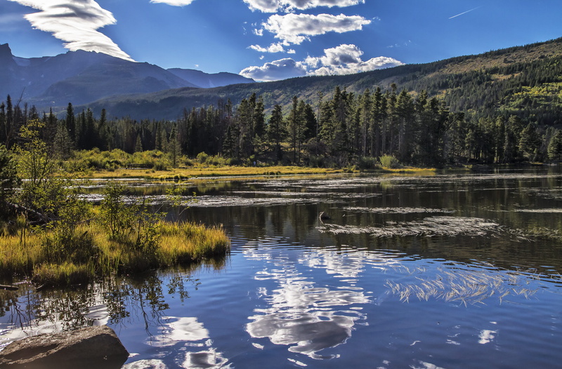 plant, waterfront, mountain, scenics - nature, bear lake, no people, nature, 4K, growth, rocky mountain national park, colorado, day, reflection lake