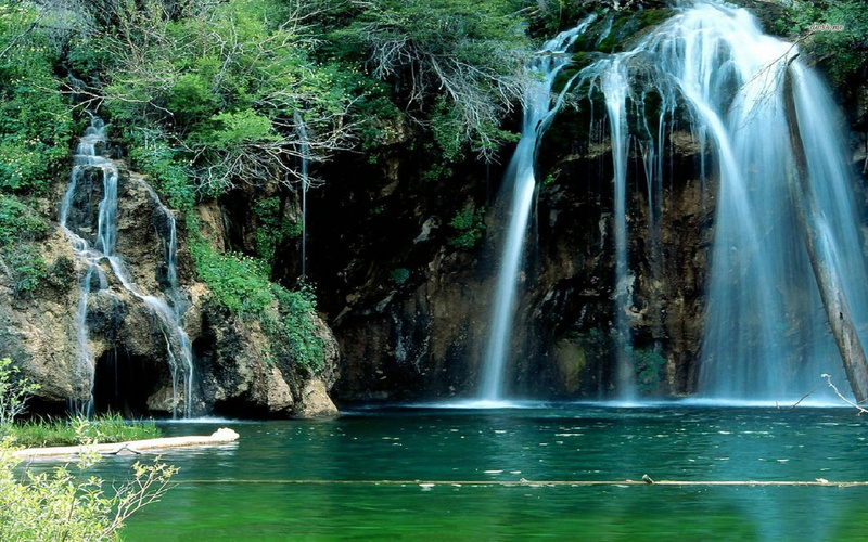 tree, outdoors, no people, long exposure, forest, day, flowing, waterfront, tranquil scene, flowing water, beauty in nature, water, power in nature, 1080P