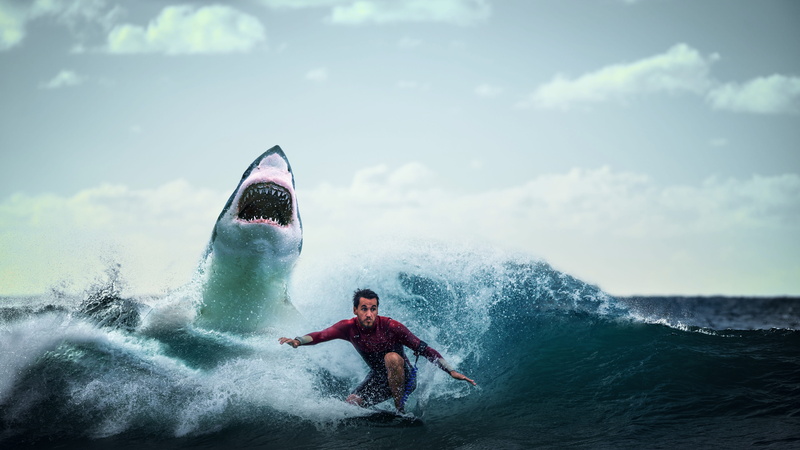 wild, animals, power in nature, men, sky, attack, predator, shark, splashing, sea, ocean, one person, nature, enjoyment, whale, day, lifestyles, fish, leisure activity