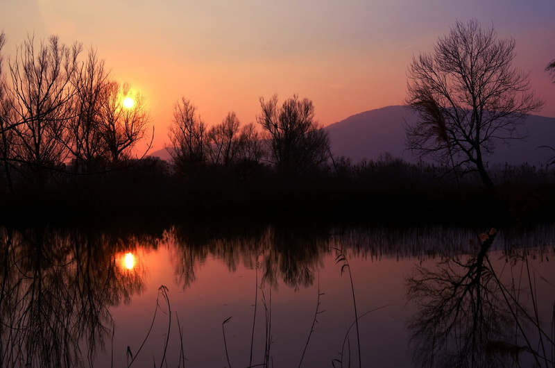 The evening, non-urban scene, nature, orange, romantic sky, idyllic, silhouette, tranquility, sun, scenics - nature, shore, orange color, tranquil scene