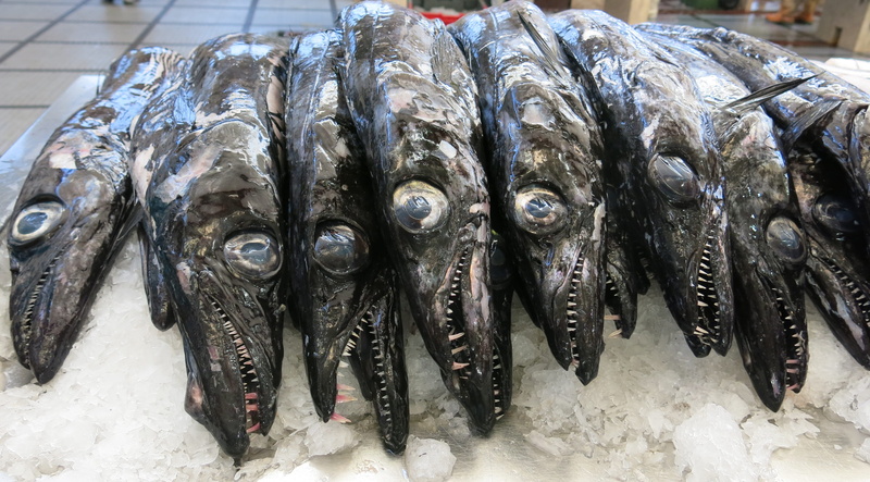 predatory fish, food, fish, food and drink, vertebrate, retail, fish market, close-up, cold temperature, hunger, market, eyes, abundance, wellbeing, fishing industry