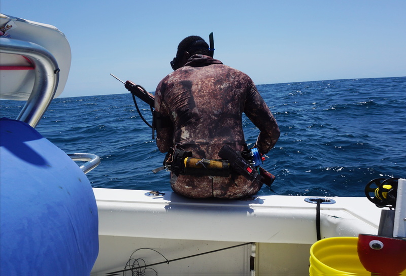 nautical vessel, ocean, activity, stop the bleed, nature, fisherman, horizon over water, recon marine, diving, 4K, mammal, one animal, horizon, tourniquet
