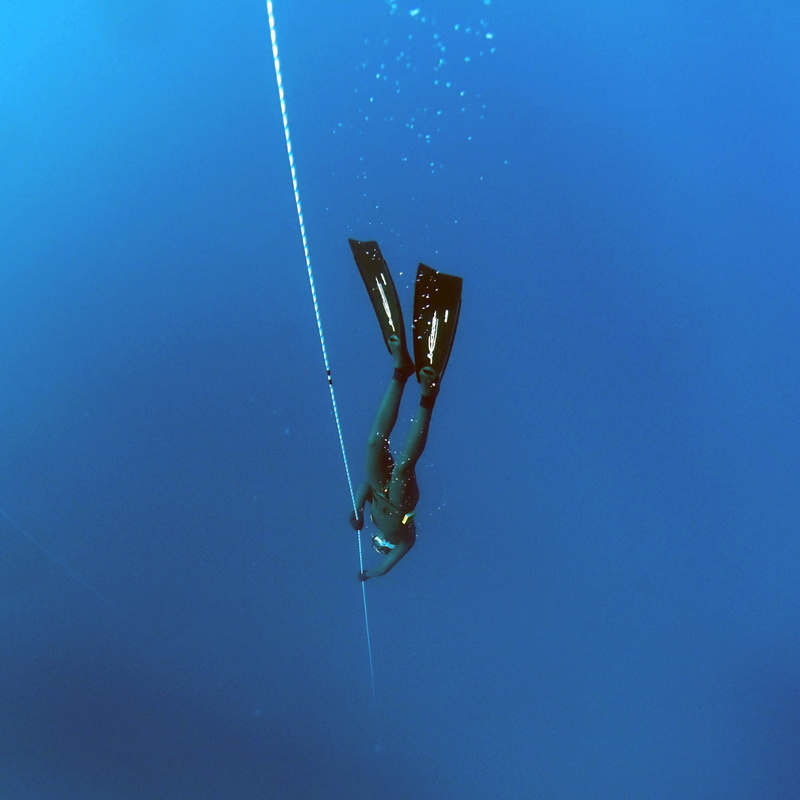 undersea, blue, diving, water, copy space, 2K, sport, deep, swimming, depth, tropical, animal, clear sky, sky, tranquility, wetsuit, motion, marine, apnea