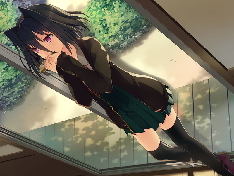 Koi to Senkyo to Chocolate, pink eyes, one person, day, window, nature, short hair, Morishita Michiru , adult, young adult, transparent, women, clothing