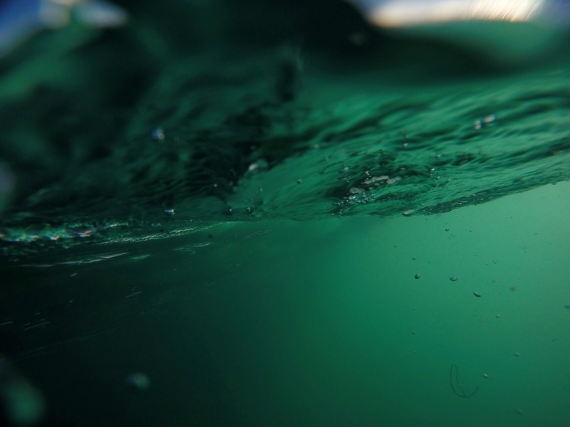 underwater, macro, outdoors, green color, beauty in nature, marine, ripple, water, drop, swimming, bubble, purity, day, drops, sea life, no people, blue