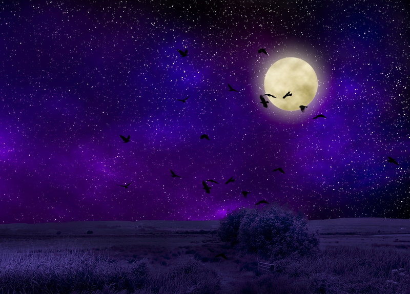 scenics - nature, space, midnight, starry sky, constellation, moon Surface, blue, illuminated, planet - Space, 2K, no people, tranquil scene, moon, tranquility