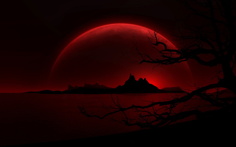 black Color, spooky, orange Color, 1080P, outdoors, twilight, dusk, red, moon, evil, silhouette, horror, tree, bat - Animal, vector, halloween, branch