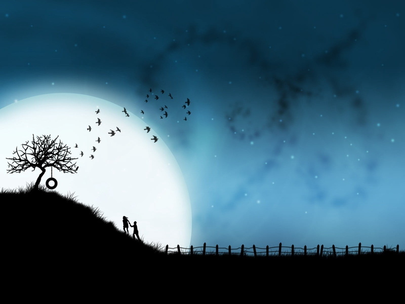 sunset, night, steam, birds, cloud - sky, people, backgrounds, moon, astronomy, star, outdoors, animal, landscape, black Color, love, celebration, low angle view