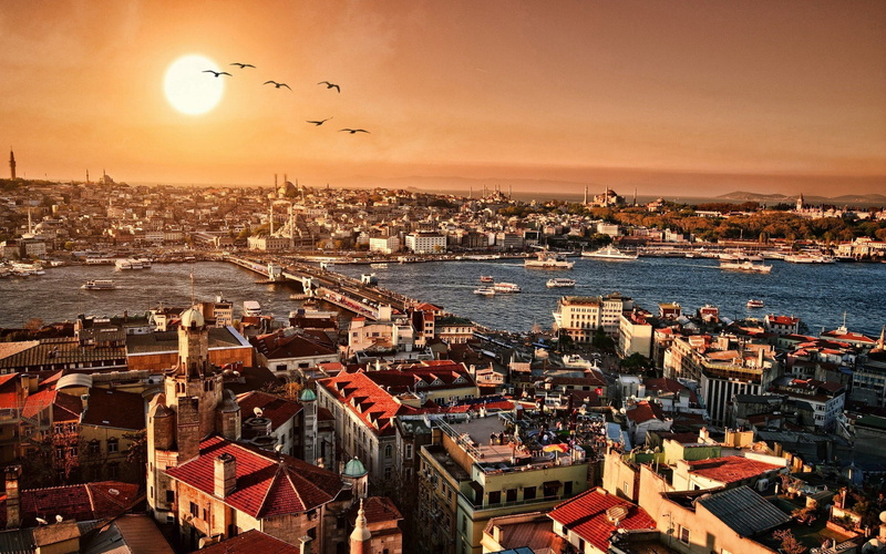 bird, nature, building, animal, aerial, view, flying, bridge, water, vertebrate, Istanbul, office building exterior, outdoors, city, architecture, sunset