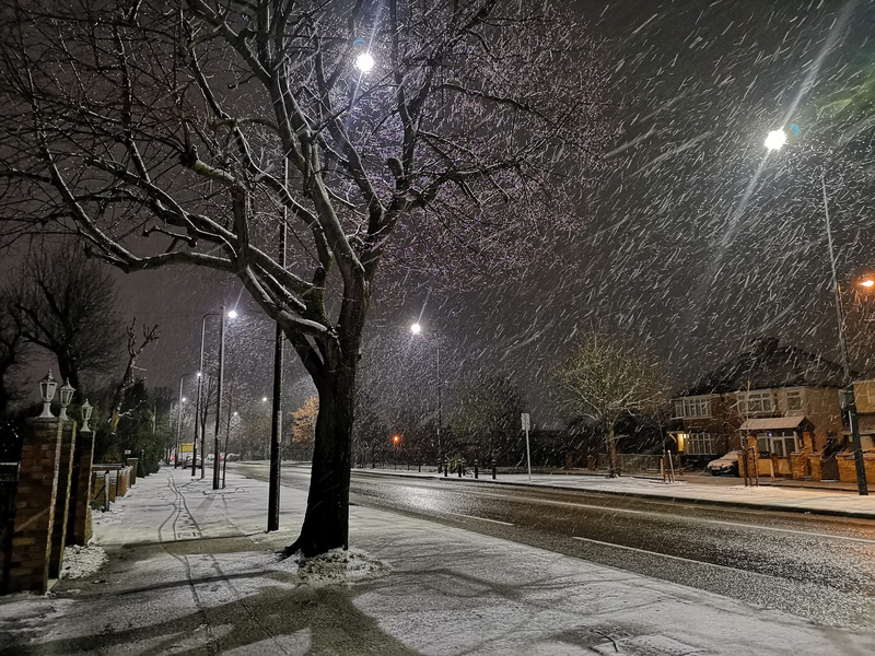 outdoors, illuminated, cold temperature, walkway, rural, night, tree, pavement, winter, building, nature, sidewalk, street light, ice, road, lighting equipment