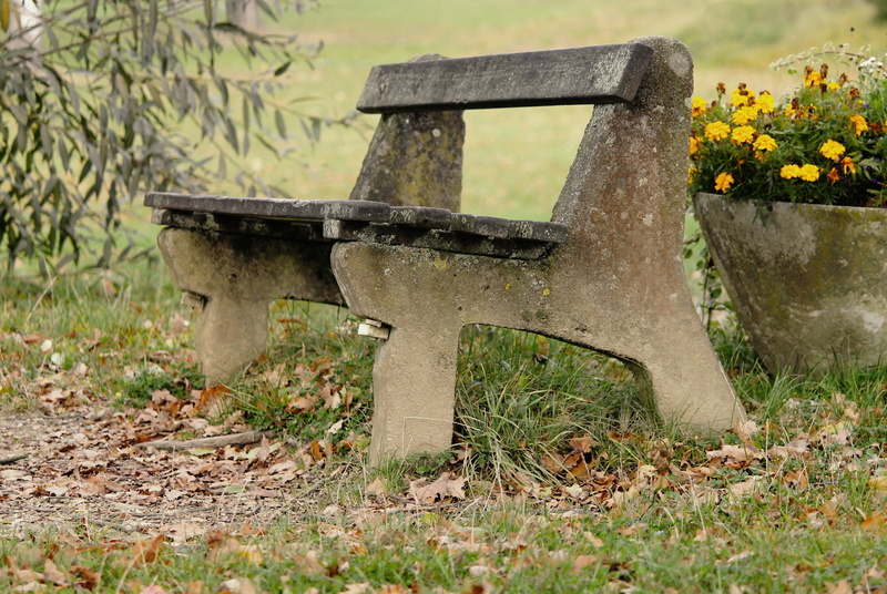 plant, nature, green, click, outdoors, weathered, bench, wood - material, rest, seat, tranquility base, recovery, resting place, bank, land, mood, relaxation