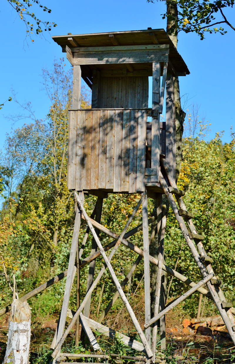 building exterior, wood - material, no people, wild, land, tree, abandoned, watch, stalking equipment, outdoors, nature, field, edge of the woods, hunting