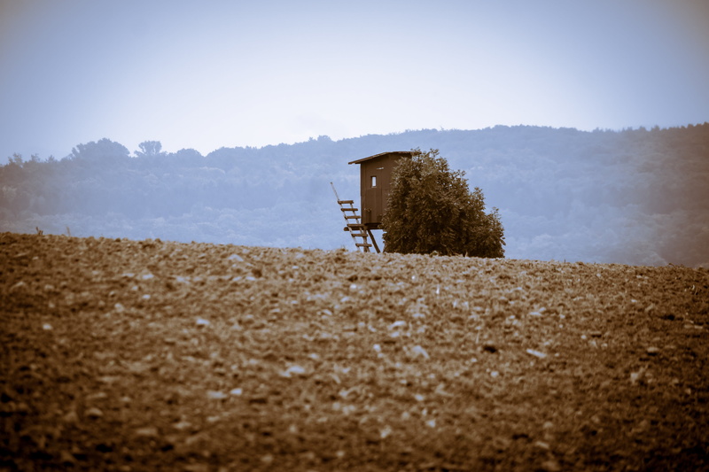 plant, outdoors, architecture, wooden tower, landscape, building exterior, environment, hunter seat, hunting was, land, hut, hunting, arable, hunt, sky
