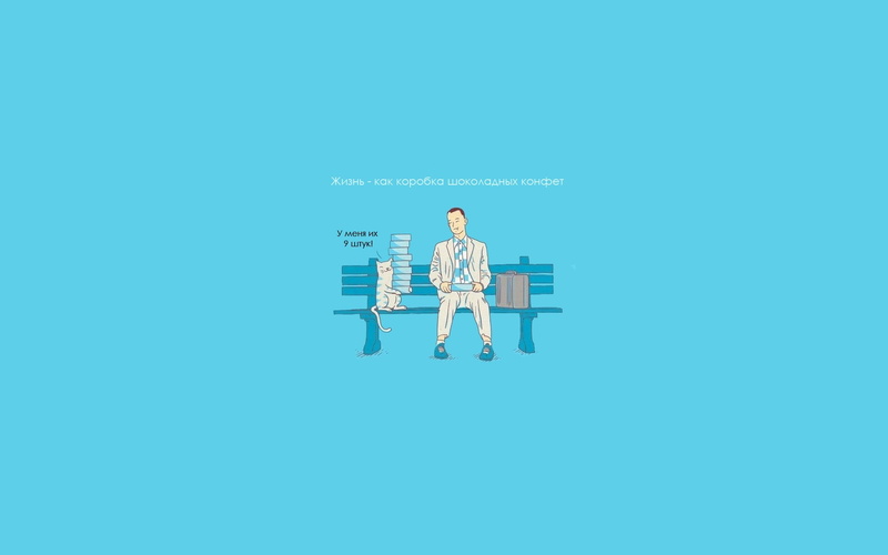 Forrest Gump, Cat, Movie, Blue, 1080P, Candy, Funny, Humor, Lettering