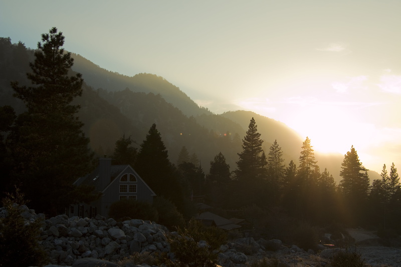 architecture, travel, non-urban scene, wilderness, building exterior, growth, wild, pine trees, no people, ca, tranquility, tranquil scene, plant, mountain