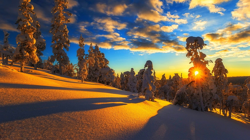 sunset, light, forest, beauty in nature, snowy, non-urban scene, sunlight, tranquility, tree, cloud - sky, shadow, cold temperature, plant, pines, 1080P