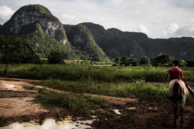 cuba, lifestyles, sky, scenics - nature, 5K, grass, vinales, rear view, tranquility, people, day, environment, men, nature, landscape, outdoors, kids