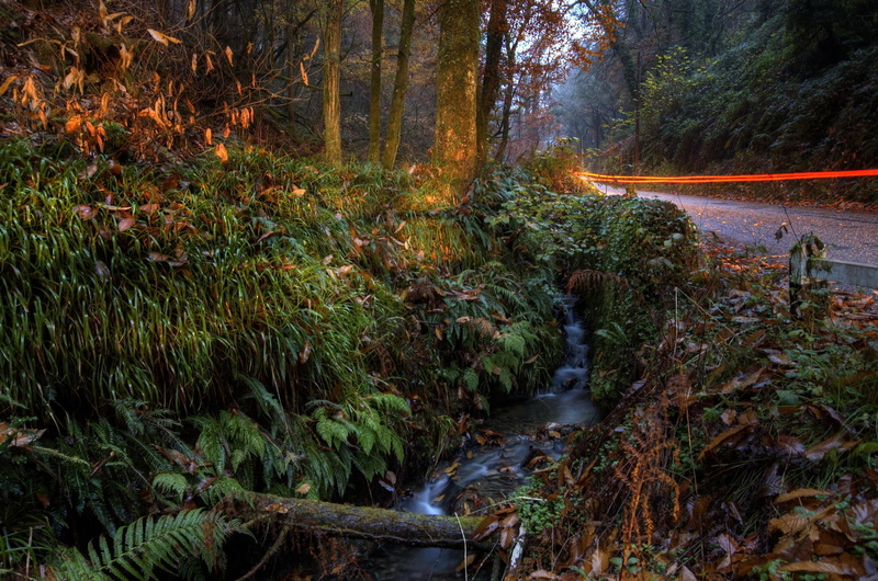 nature and landscapes, mini, spring, nature, forrest, grass, river, 1080P, trees