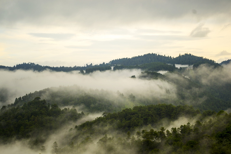 san mateo río hondo, 4K, environment, landscape, land, fog, tranquil scene, hazy, san jose del pacifico, plant, outdoors, tranquility, nature, idyllic