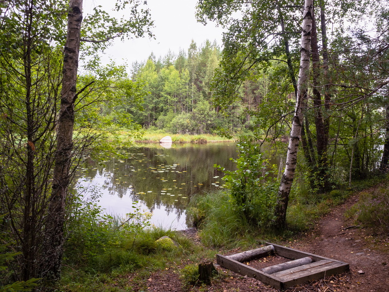 forest, water, land, finland, forrest, lake, plant, beauty in nature, boat, reflection, nature, tranquil scene, day, summer, trunk, green color, tree trunk