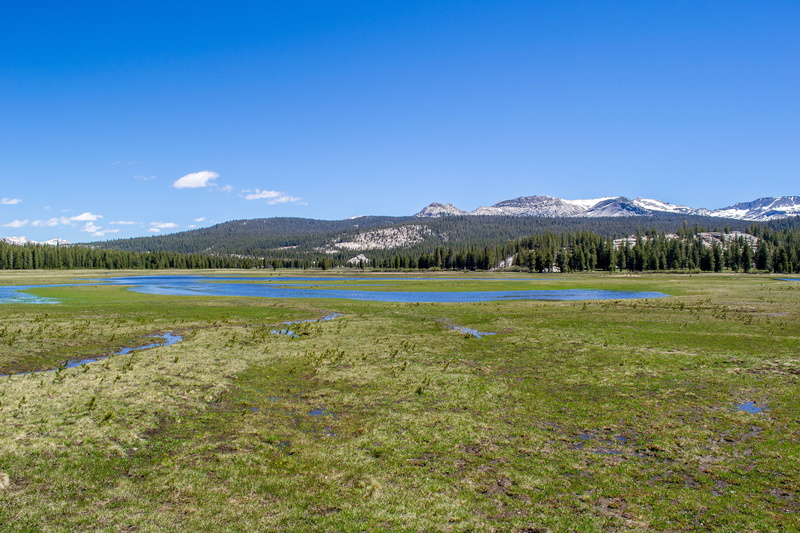 trees, scenics - nature, non-urban scene, snow, sea, mountain, medow, landscape, tree, blue, usa, land, lake, america, day, plant, no people, united states
