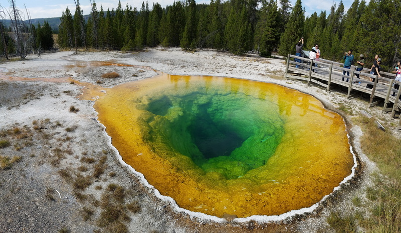 nature, land, scenics - nature, travel destinations, forrest, beauty in nature, group of people, day, geyser, tree, yellowstone national park, plant, yellowstore