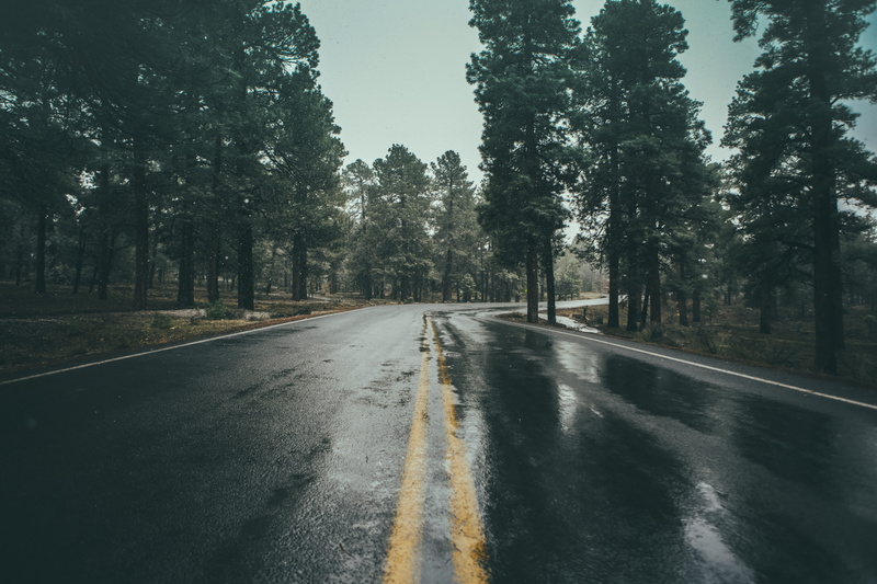 the way forward, photography, growth, landscape, direction, diminishing perspective, forest, dividing line, marking, tree, arizona, road marking, empty road