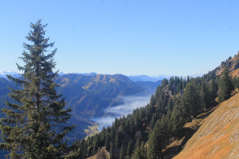 tranquility, tree, nature, forrest, remote, sky, idyllic, mountain range, pine woodland, pine tree, no people, mountain, tranquil scene, plant, non-urban scene