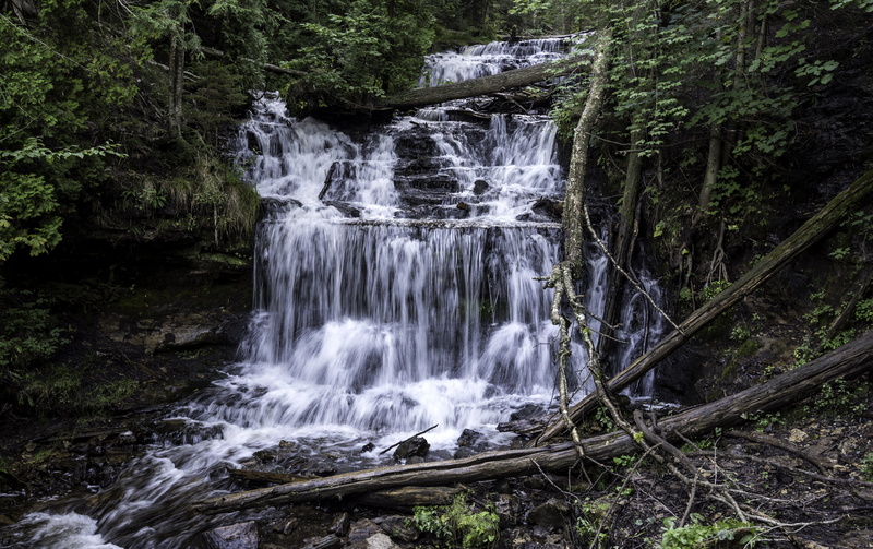 beauty In Nature, nature, tree, trees, rock, waterfall, long exposure, stream, falling, scenics - nature, rainforest, scenics, splashing, rock - Object