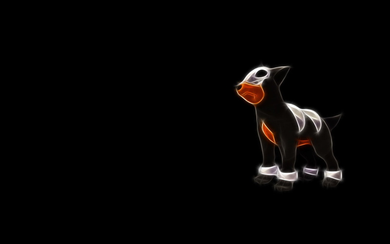 1080P, Pokémon, Houndour (Pokémon), Dark Pokémon, Fire Pokémon