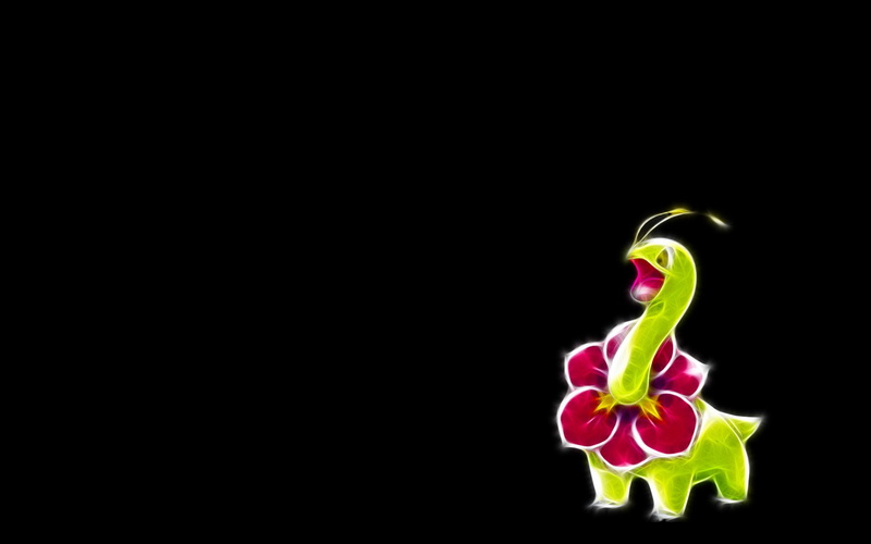 Pokémon, Meganium (Pokemon), Grass Pokémon, 1080P
