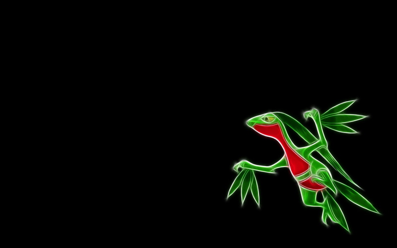 Grovyle (Pokémon), Pokémon, Grass Pokémon, 1080P