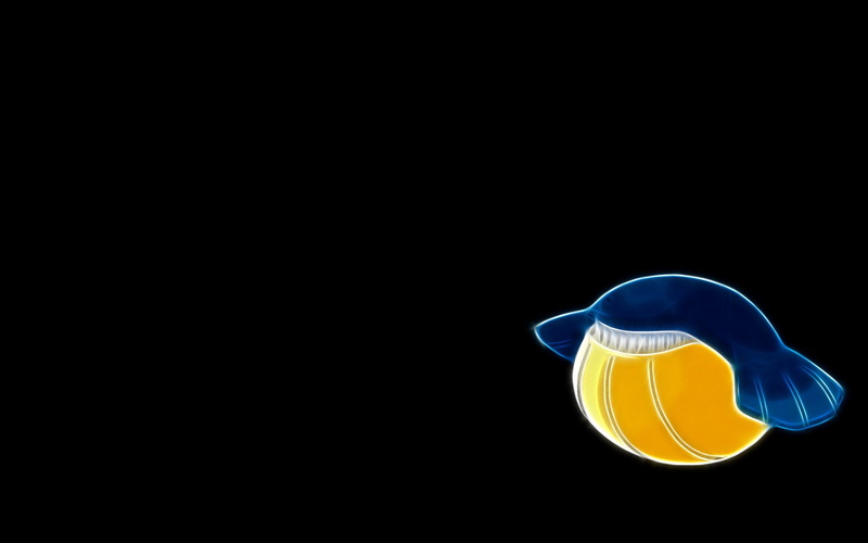 Pokémon, 1080P, Water Pokémon, Wailmer (Pokémon)