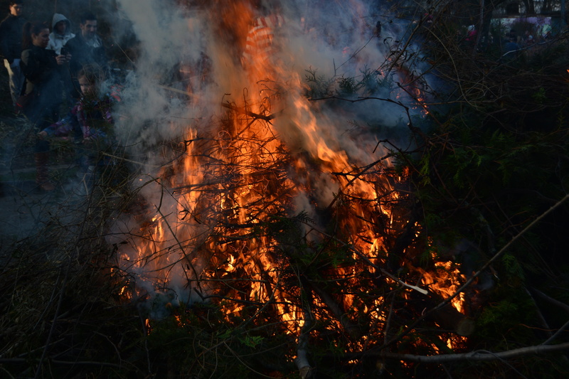 plant, fire, environment, pollution, smoke - physical structure, green, 5K, outdoors, burning, easter, field, easter fire, land, heat - temperature, orange color
