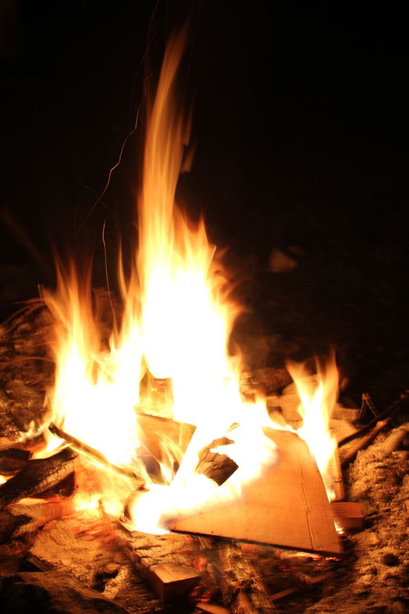 log, orange color, grass, 5K, heat - Temperature, camping, wood - material, outdoor, bonfire, fire, environment, night, nature, burning, close-up, campfire