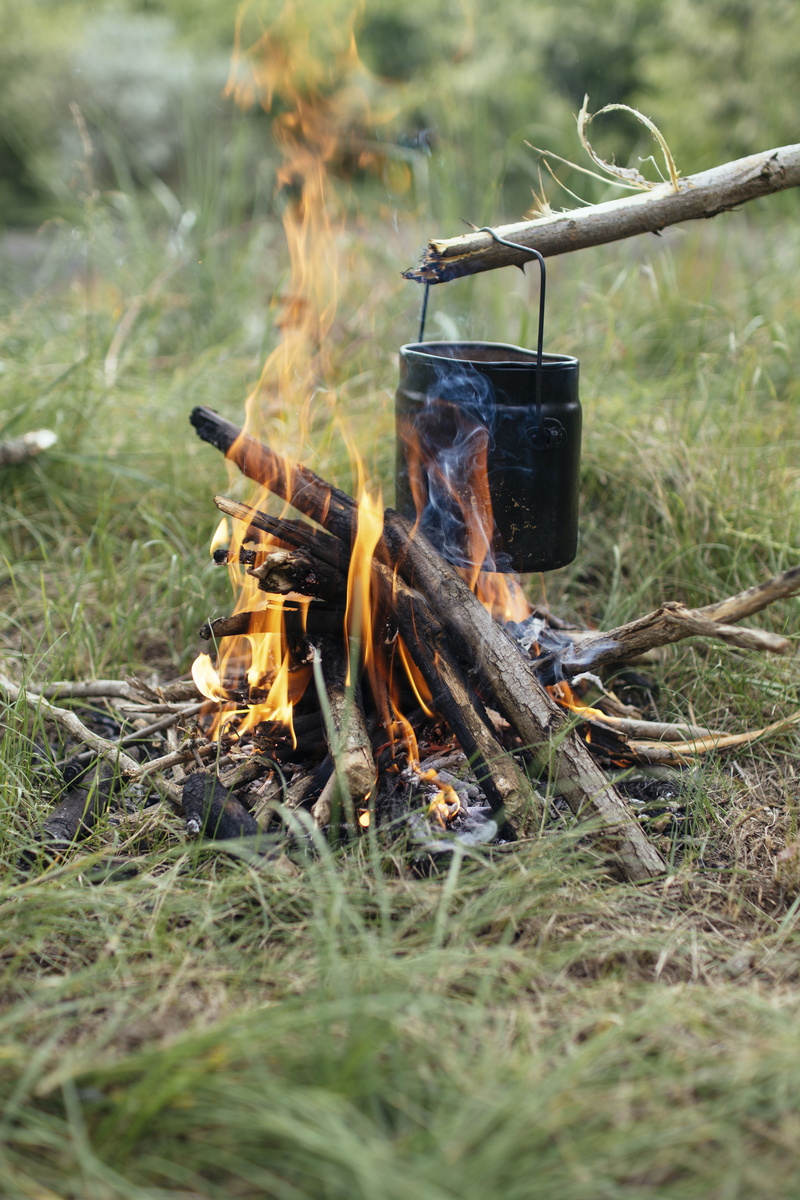 black, cook, fire, flame, land, outdoors, flamed, burning, spark, camp, log, field, camping, metal, s, preparation, 5K, firewood, fire - Natural Phenomenon