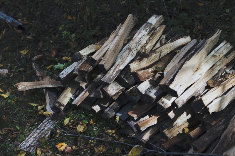 land, large group of objects, lumber industry, stack, deforestation, woodpile, green, no people, chop, 5K, tree, timber, day, outdoors, firewood, plant