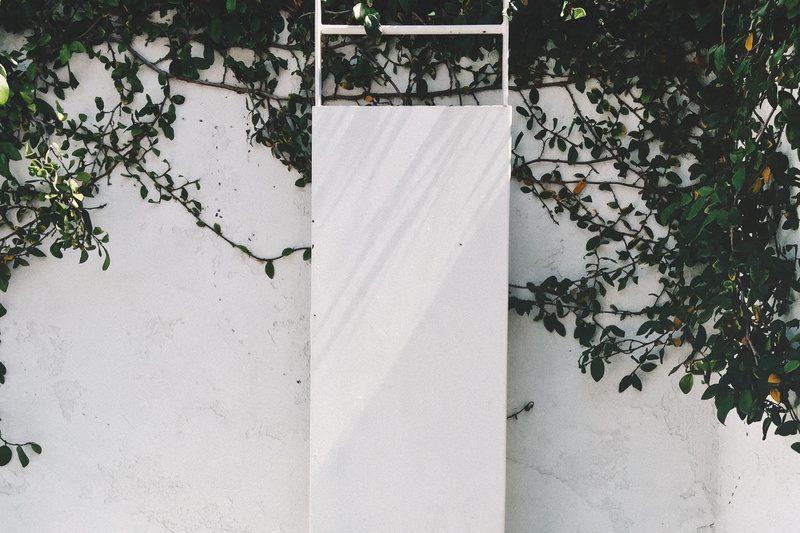 plant, ivy, Ladder, architecture, leaf, metal, outdoors, day, 1080P, white, safety, Fire Escape, Wall, plant part, leaves, growth, construction, structure