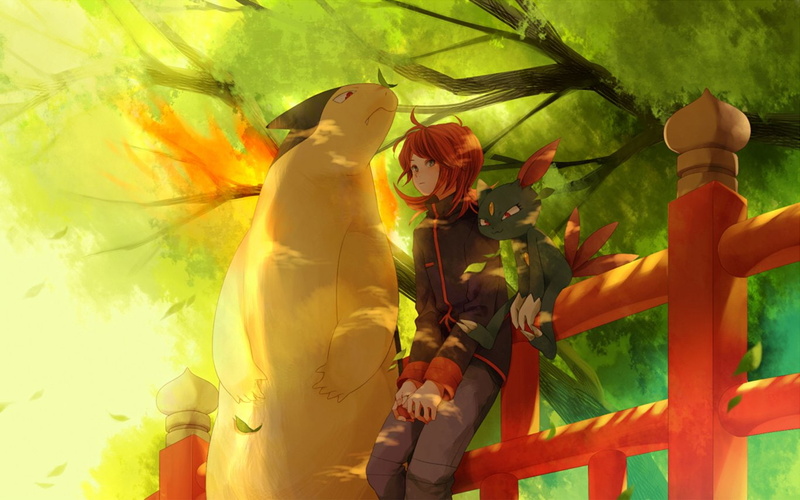 Pokémon, 720P, Pokémon: Gold and Silver