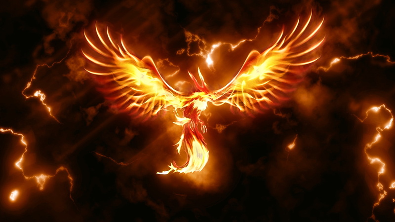 video games, pokemon, 1080P, Moltres