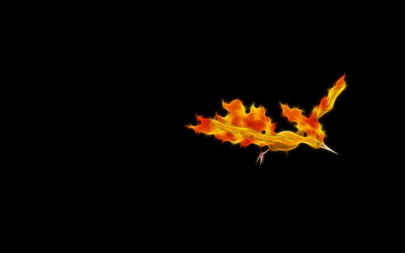 orange color, 1080P, close-up, cut out, Pokémon, studio shot, blurred motion, bonfire, burning, indoors, Fire Pokémon, black background, motion, heat - temperature