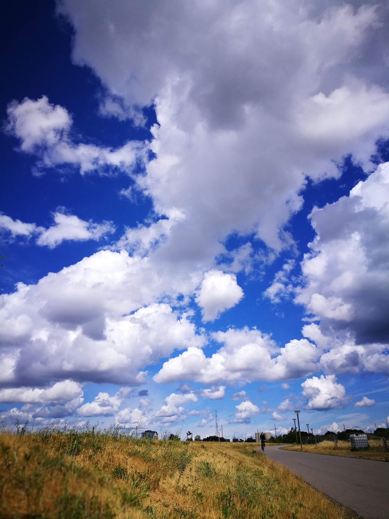 non-urban scene, 4K, københavn, summer, grass, plant, sky, tranquility, daylight, blue, outdoors, beauty in nature, road, scenics - nature, growth, cloud - sky