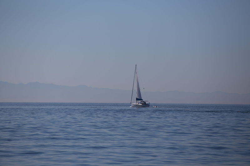 bay, no people, sail, water, nautical vessel, transportation, 5K, british columbia, ocean, outdoors, mountain, sky, beauty in nature, copy space, sailboat