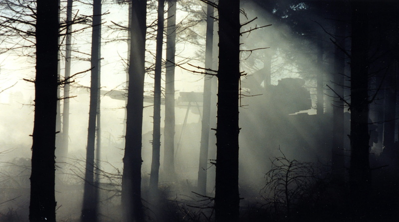 tank, tree trunk, no people, ecosystem, plantation, evergreen tree, power in nature, scenics - nature, tranquil scene, silhouette, woodland, beauty in nature