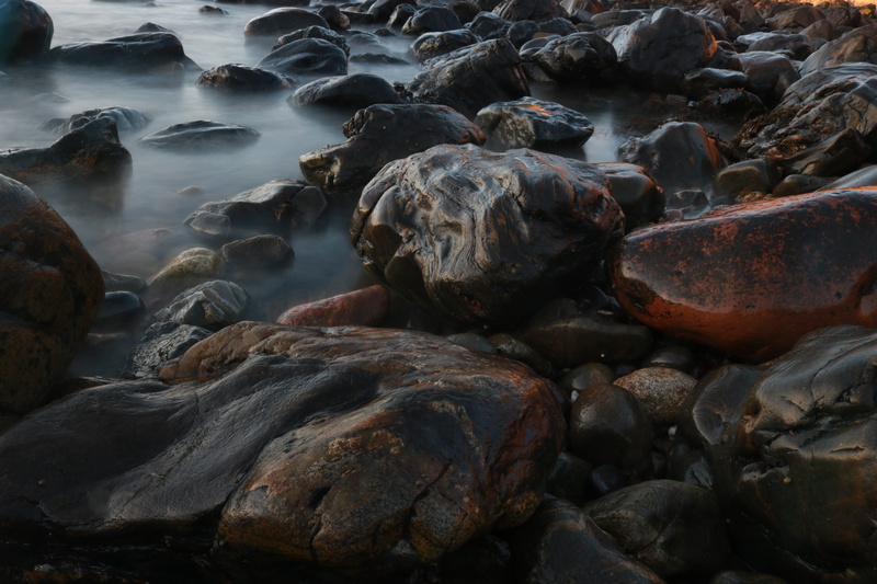 peacefull, marine, land, pebble, sea life, animal, nature, rock - object, scenics - nature, scattered, wet, water, promontory, beauty in nature, flowing water